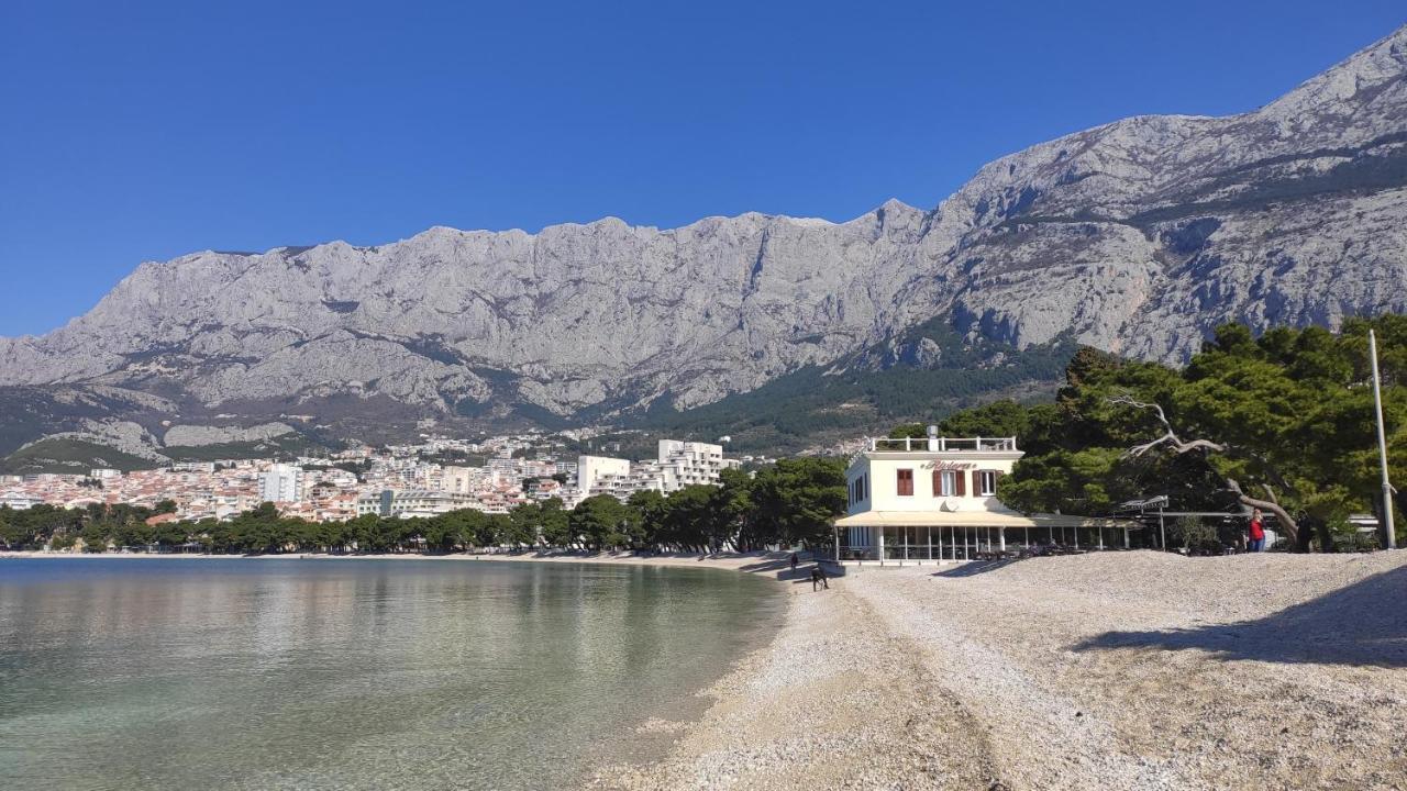 Roza - A Charming Oasis In The Centre Of * Makarska