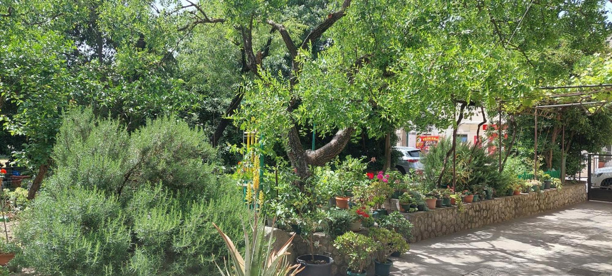 Roza - A Charming Oasis In The Centre Of *