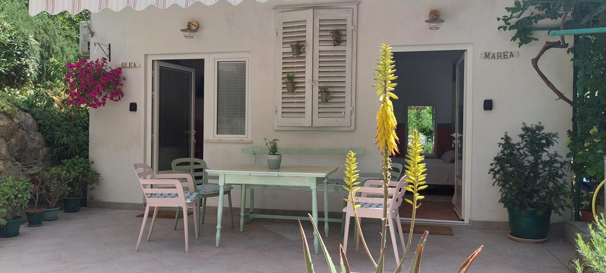 Roza - A Charming Oasis In The Centre Of