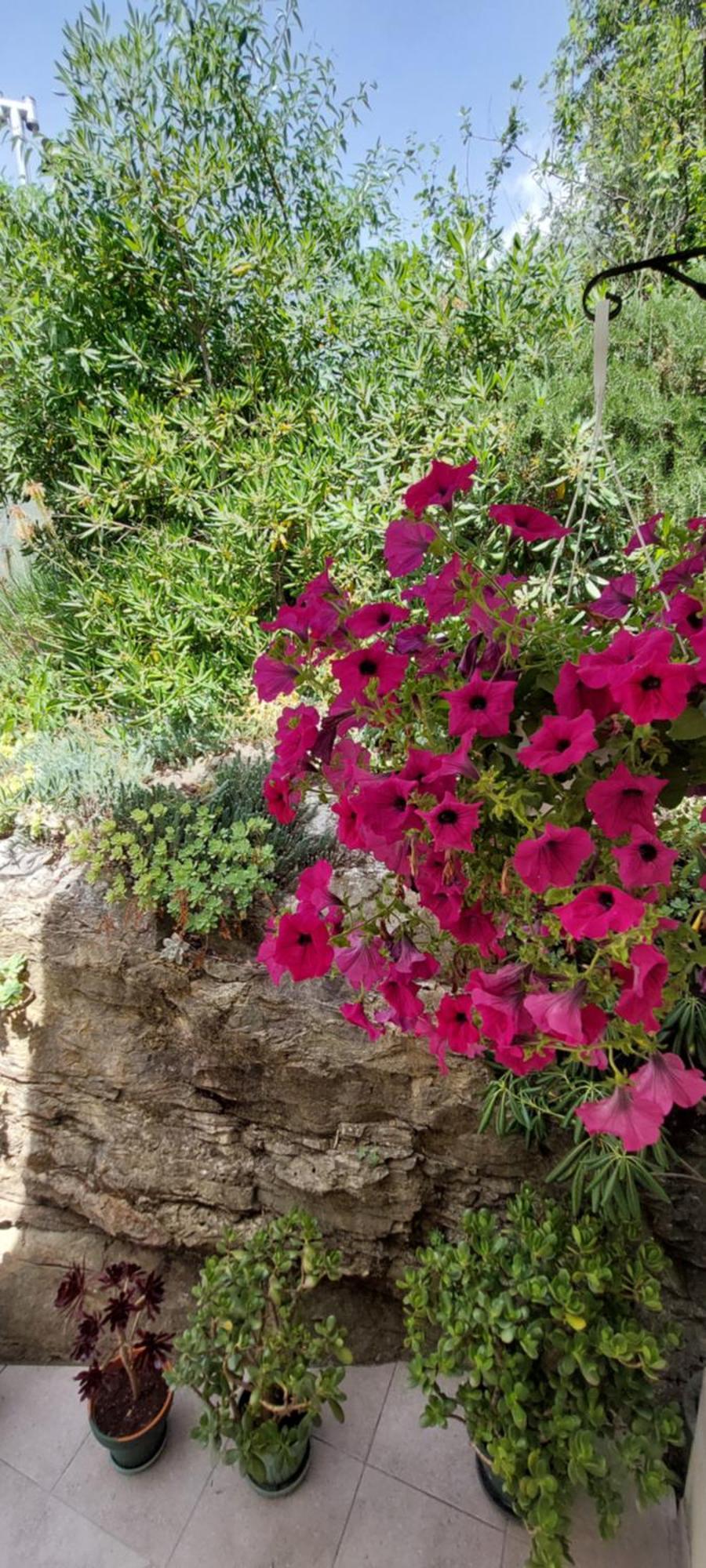 Roza - A Charming Oasis In The Centre Of Apartment *