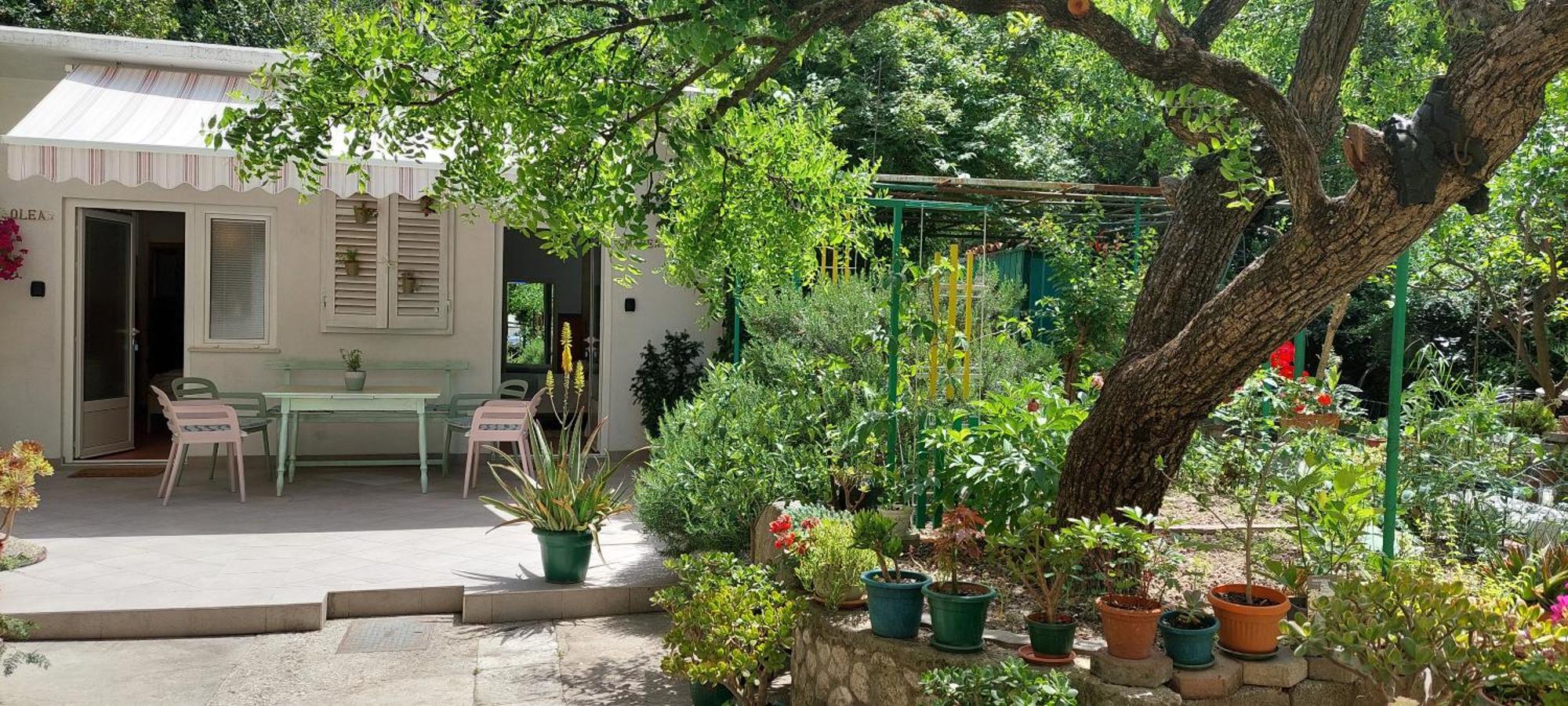 Roza - A Charming Oasis In The Centre Of Apartment Makarska