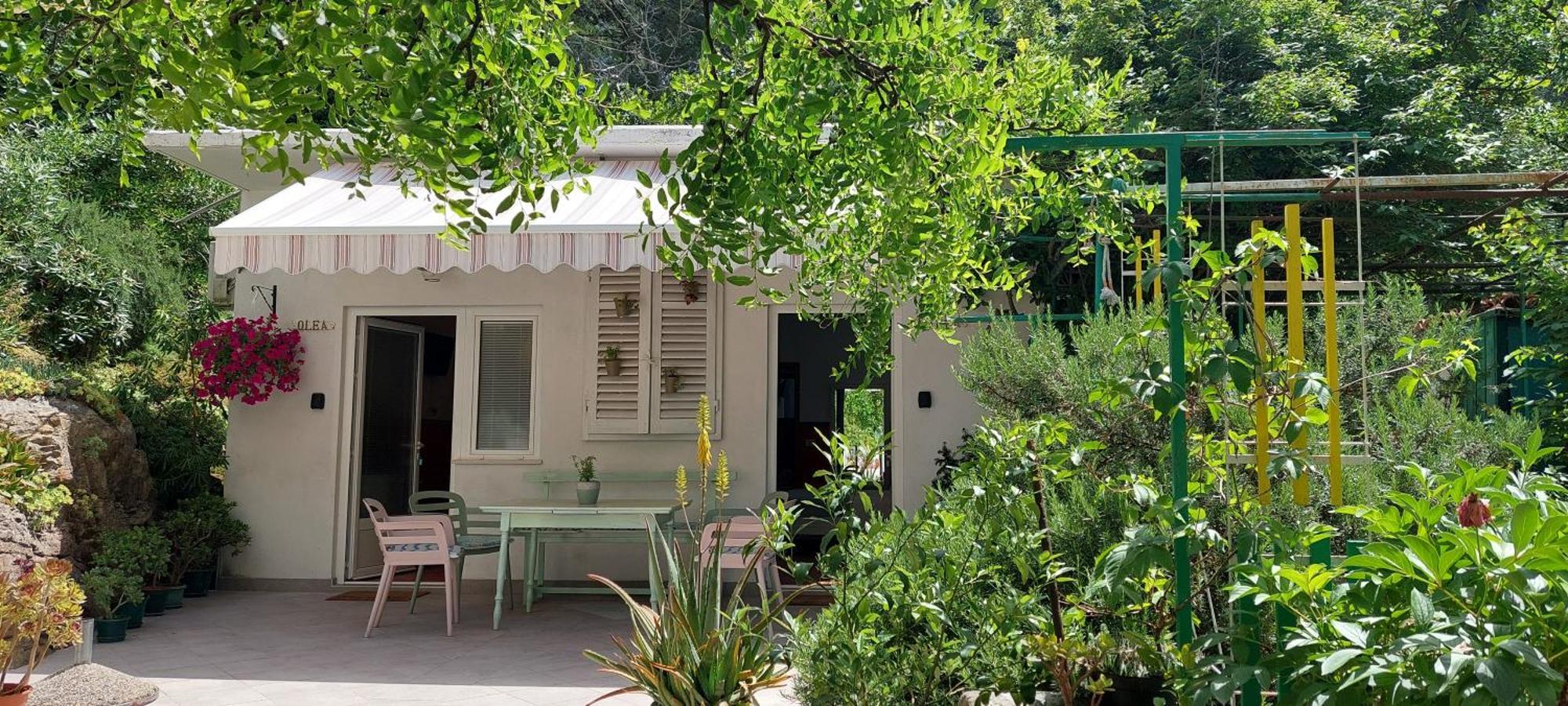 Roza - A Charming Oasis In The Centre Of Makarska